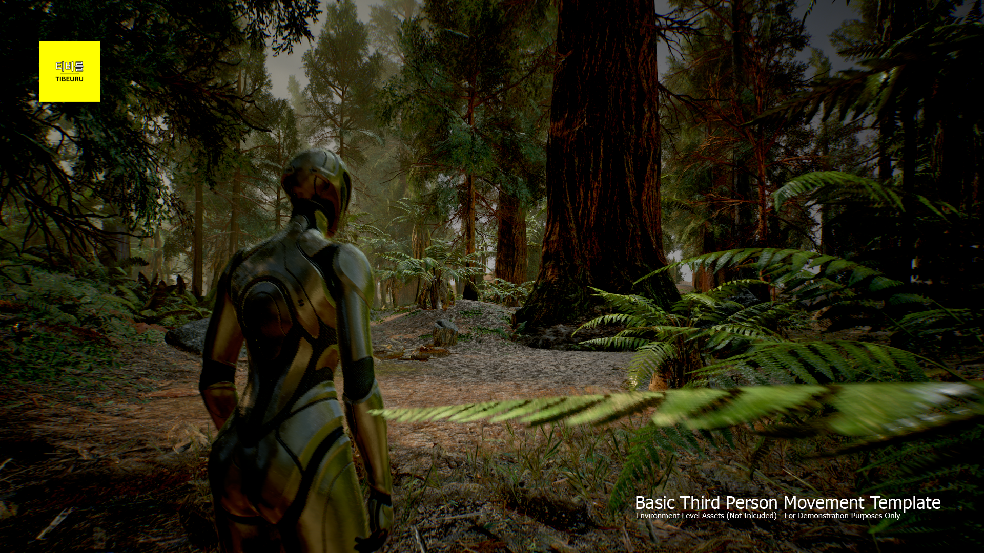 Tibeuru's Enhanced Third Person Template - Basic