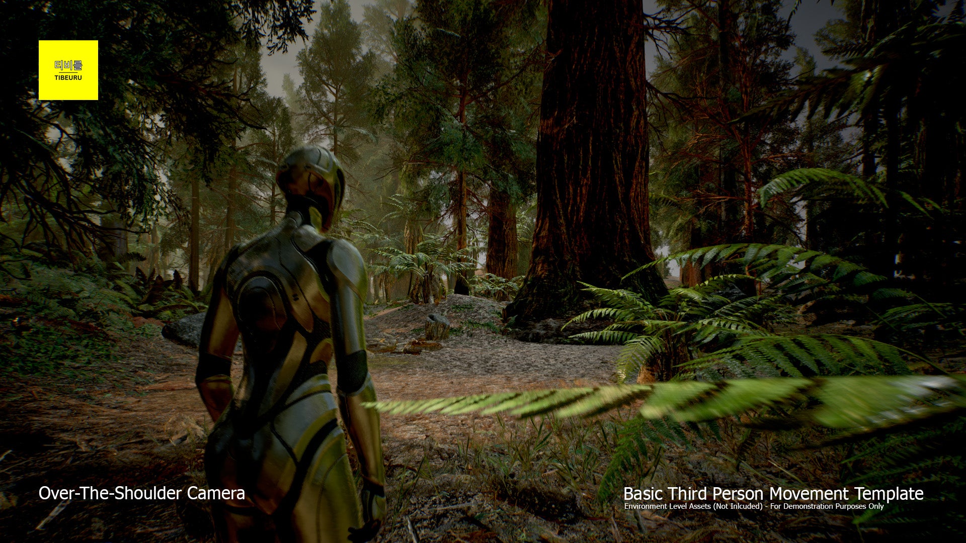 Tibeuru's Enhanced Third Person Template - Basic