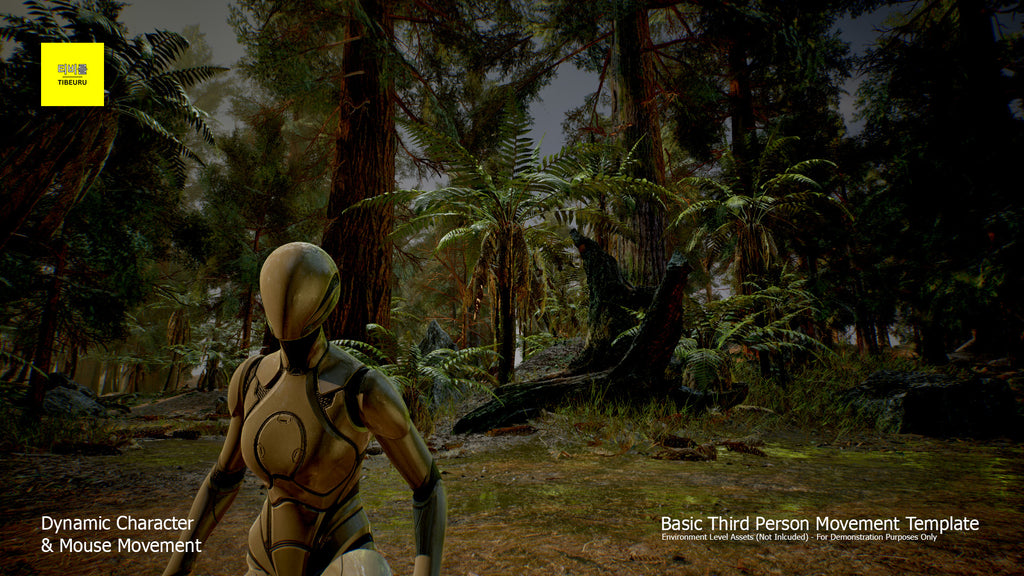 Tibeuru's Enhanced Third Person Template - Basic